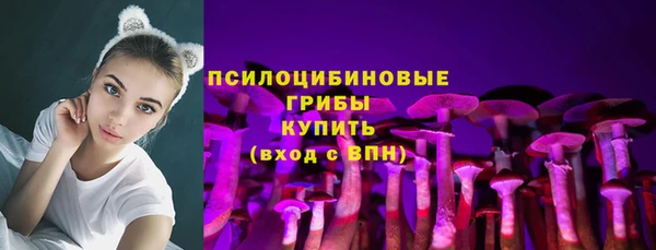 индика Алзамай