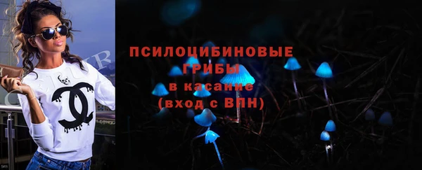 твердый Алексин