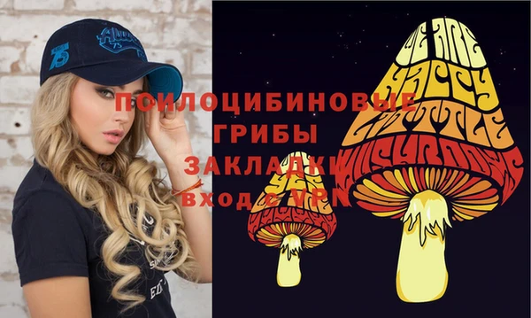 индика Алзамай