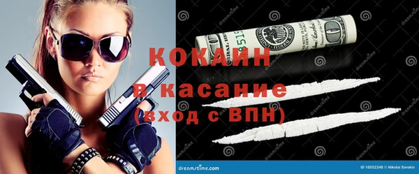 индика Алзамай